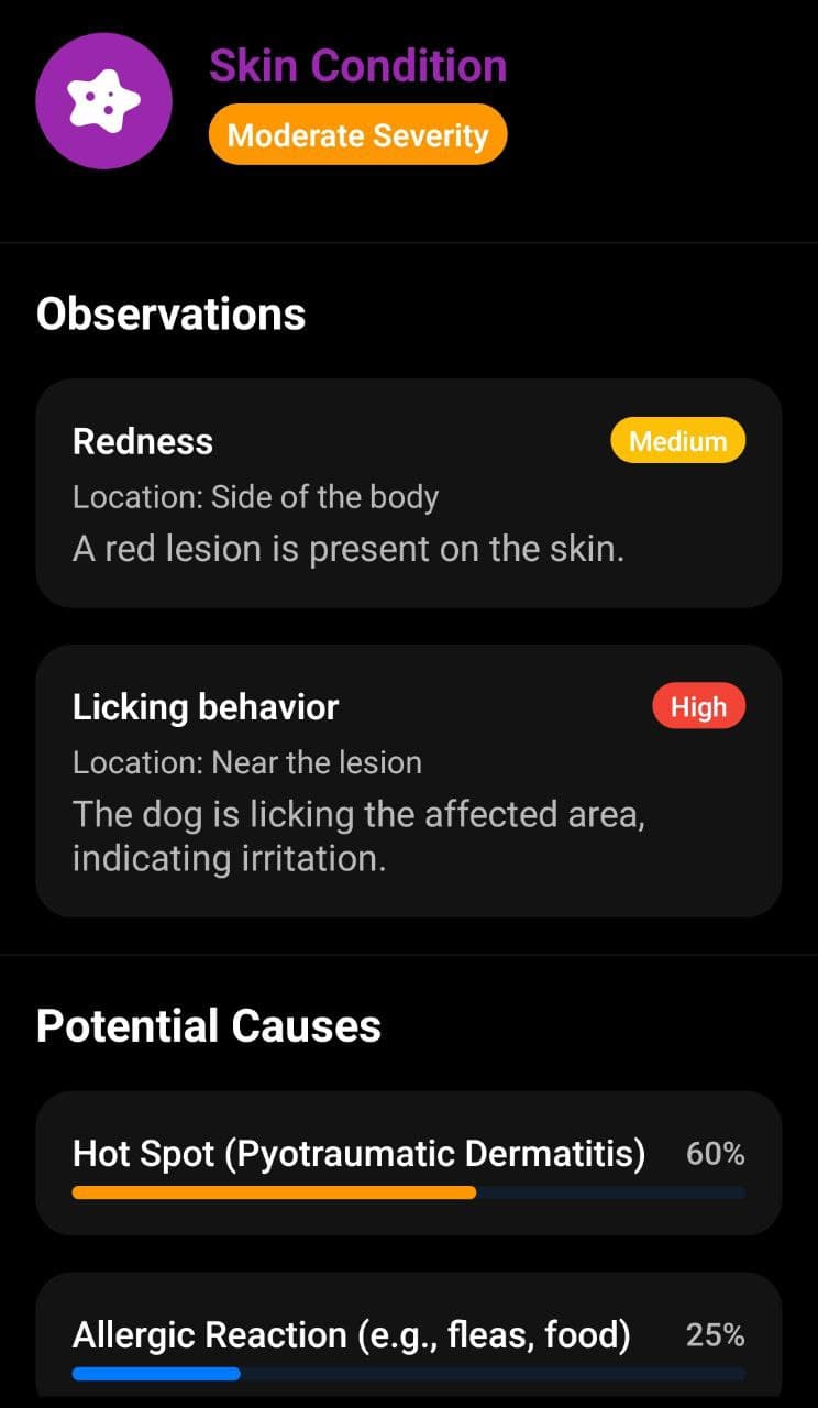 Skin Analyzer